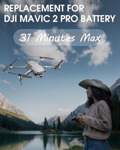 3850mAh 15.4V Intelligent Flight Battery 2-Pack Q1926