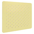Oversized Shower Head in Polished Gold B969049