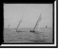 Framed Print C923074