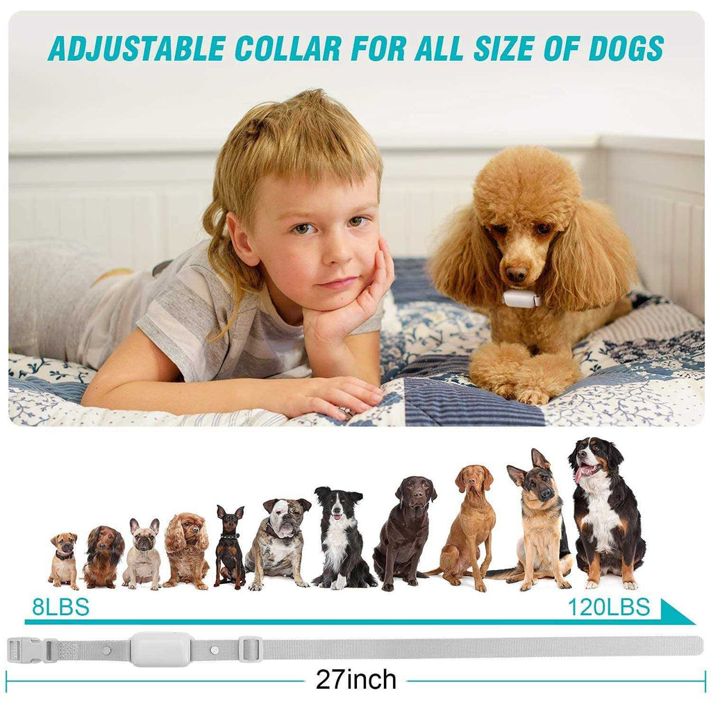 Waterproof Rechargeable Electric Dog Training Collar with Remote J91681