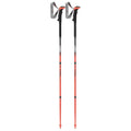 Carbon 130 cm Trekking Poles V9487