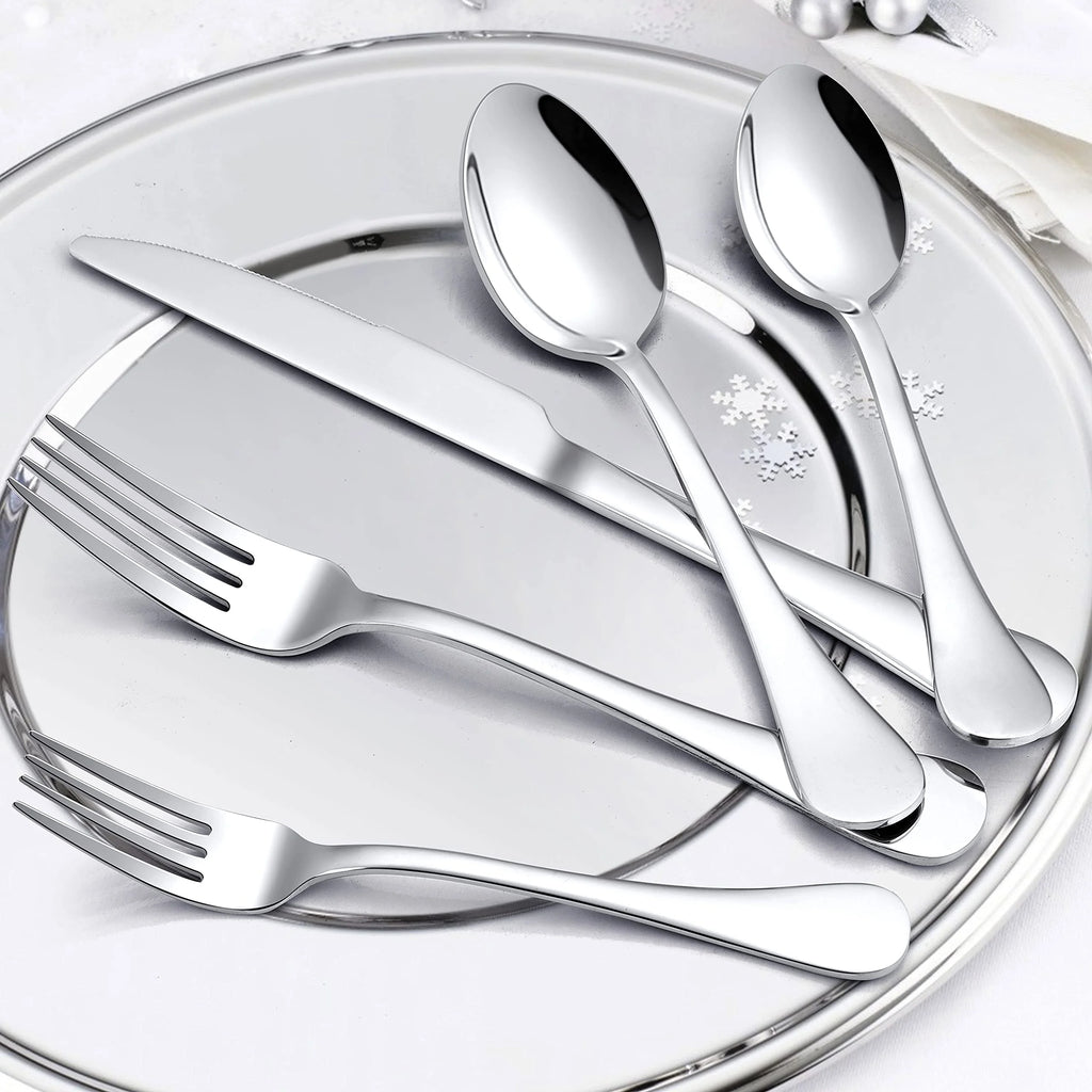 20 Piece Stainless Steel Silverware Set V388422