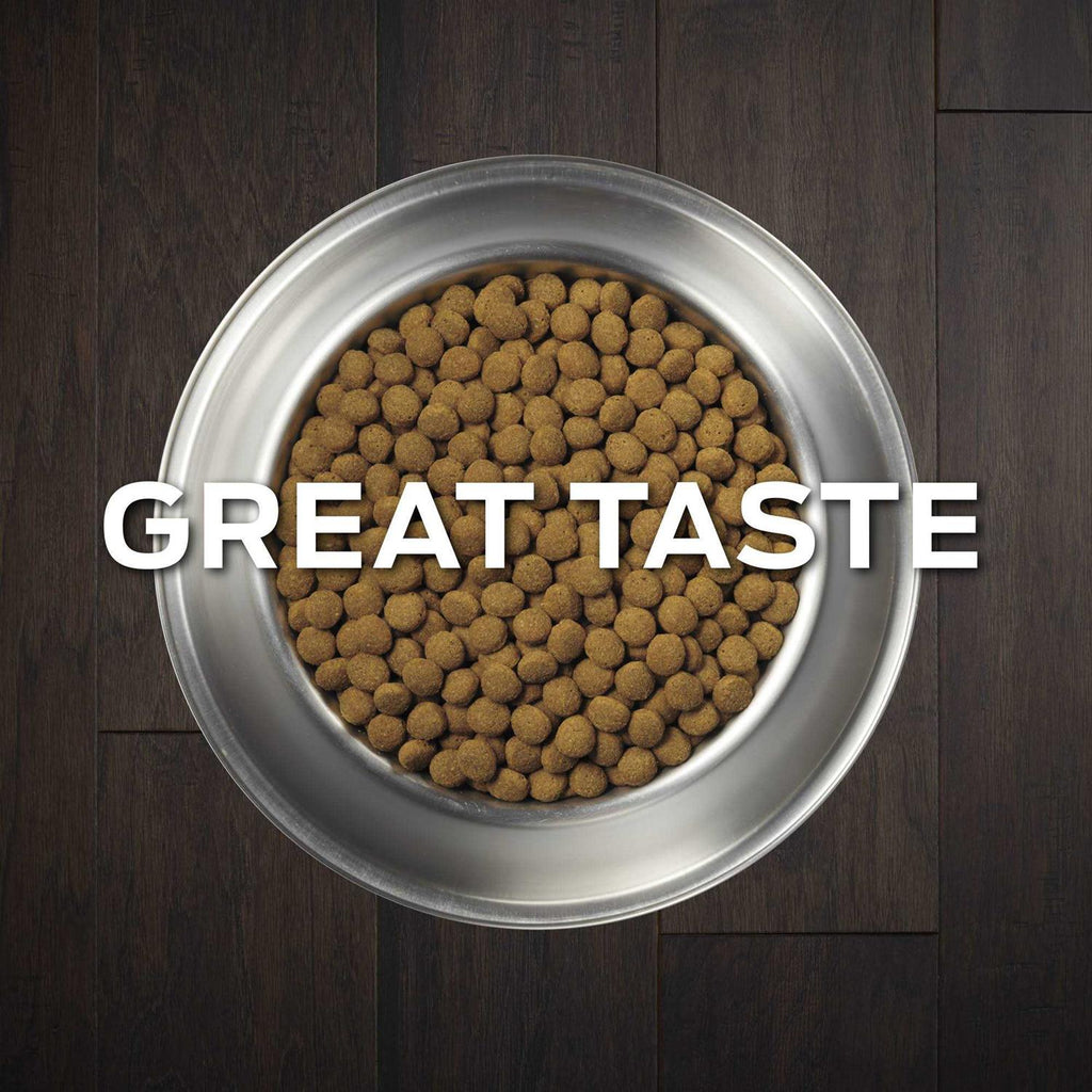 Joint Mobility Dry Dog Food X7284