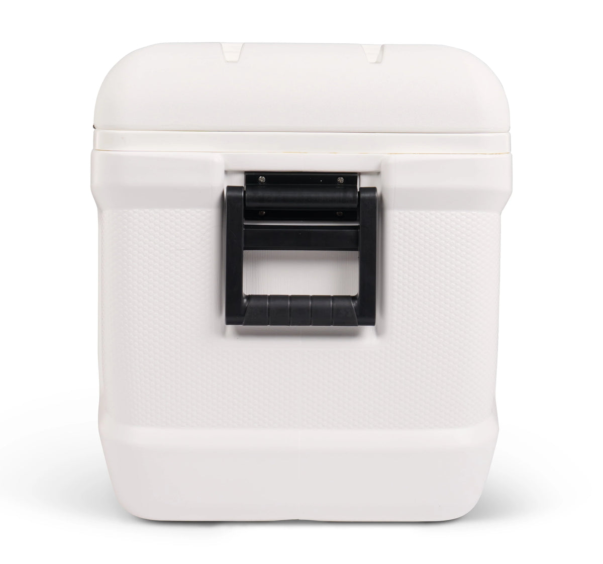 150 QT White Hard Side Cooler X2746