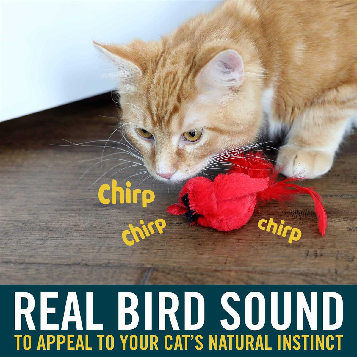 Cat Toy L615