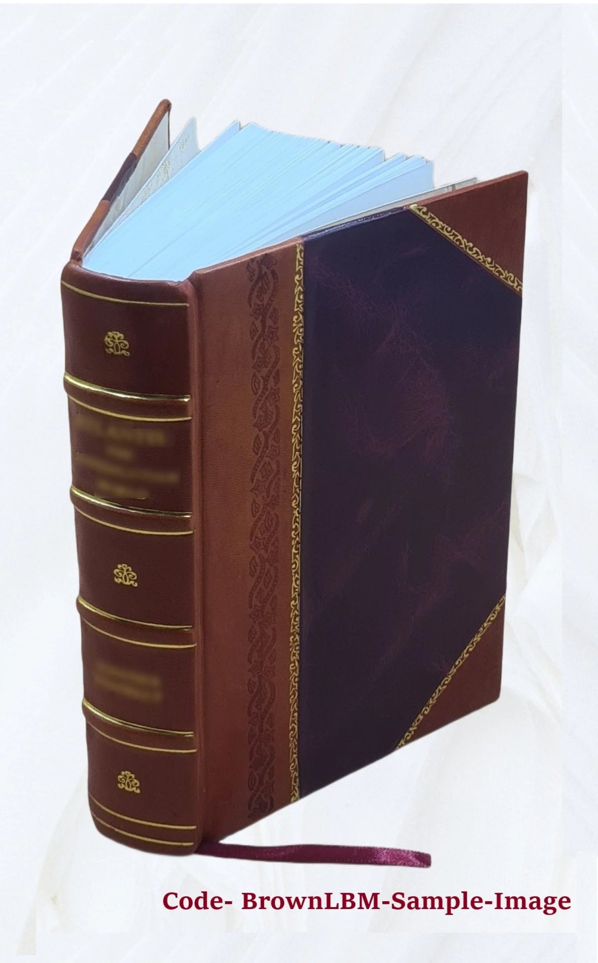 Records of the governor and company of the Massachusetts bay in New England Leather Bound K8404