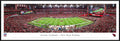 Panoramic Poster P893