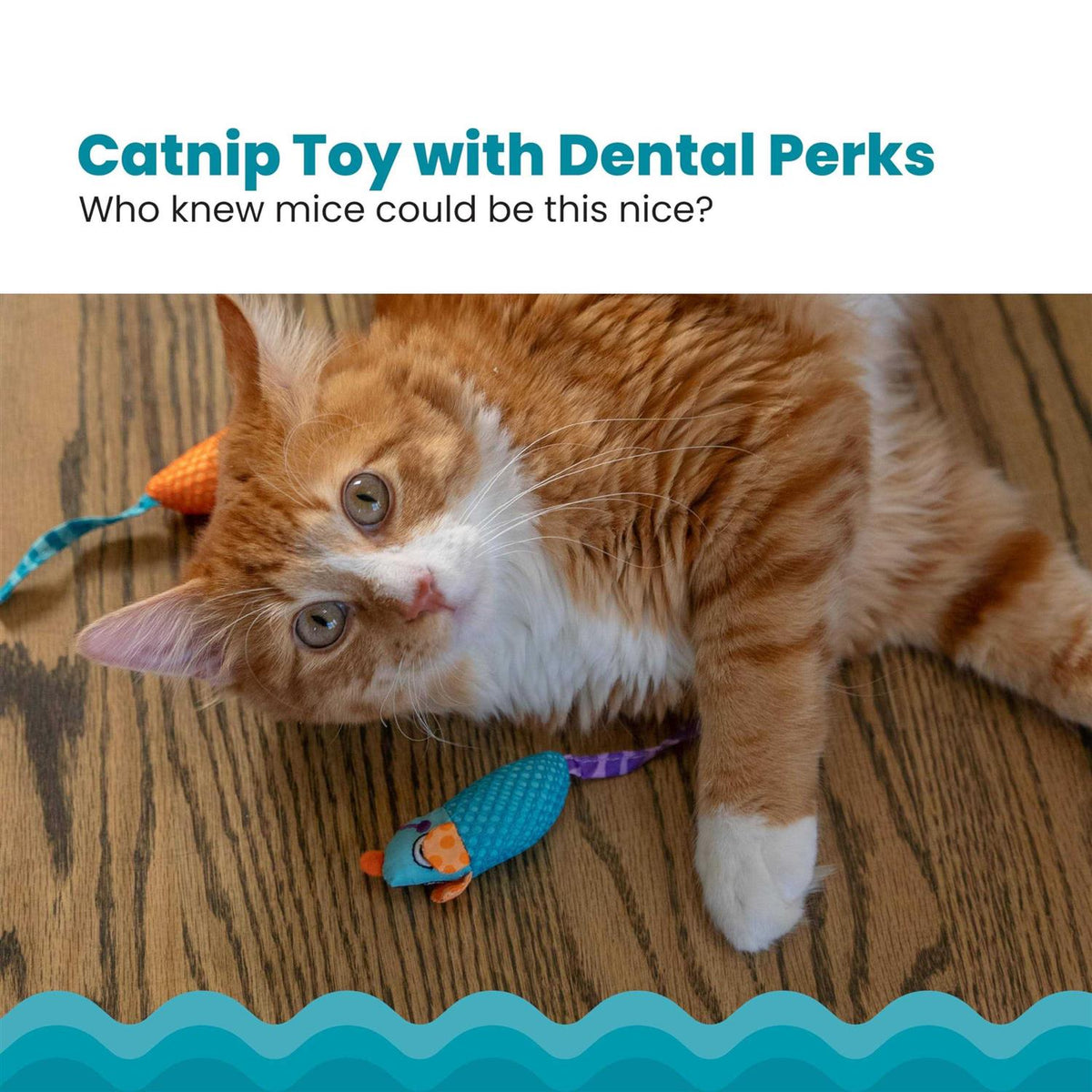 Catnip Cat Toy I66133
