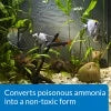 Freshwater And Saltwater Aquarium Ammonia Detoxifier, 16 oz W520