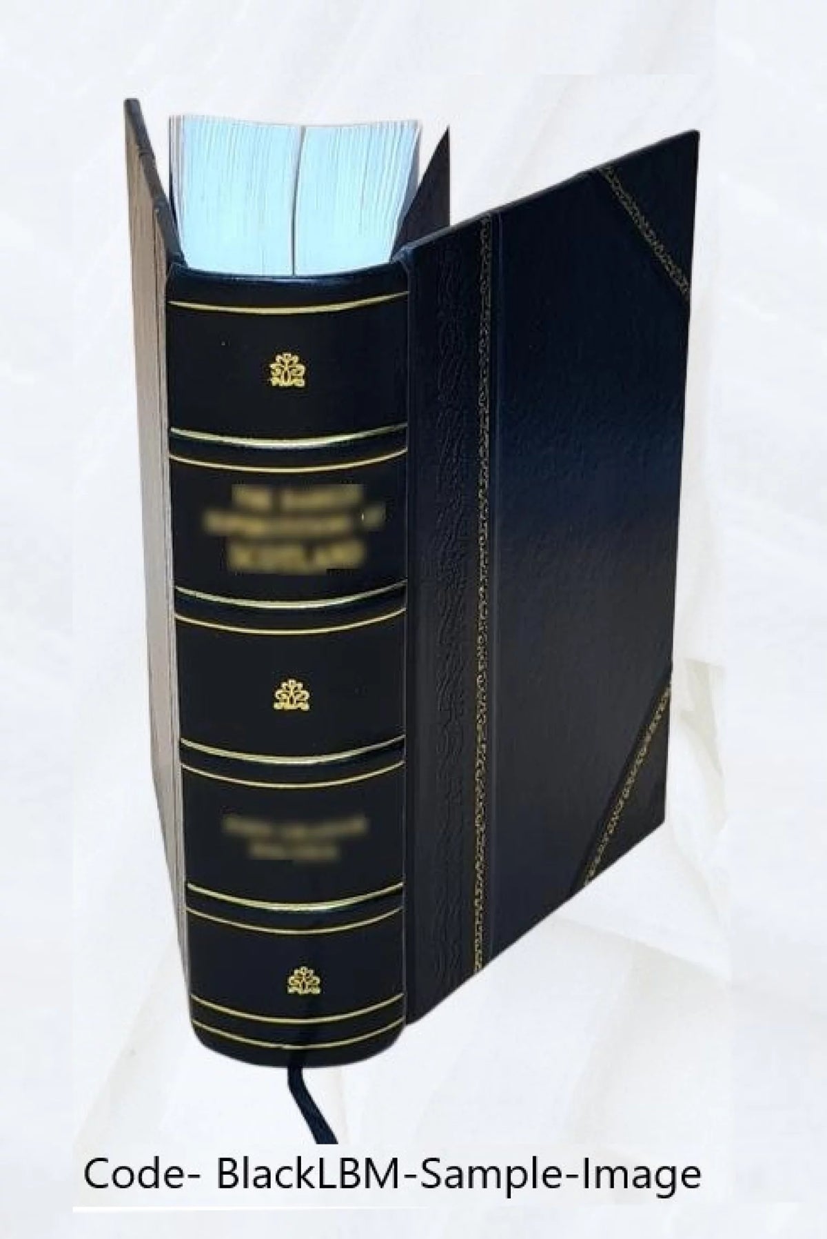 Records of the governor and company of the Massachusetts bay in New England Leather Bound K8404