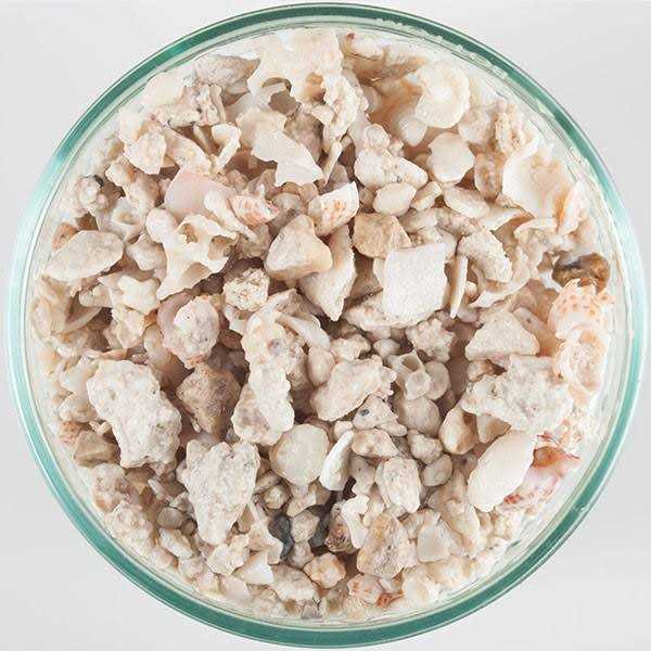 Florida Crushed Coral X2533