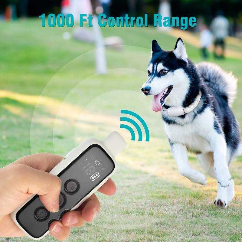 Waterproof Rechargeable Electric Dog Training Collar with Remote J91681