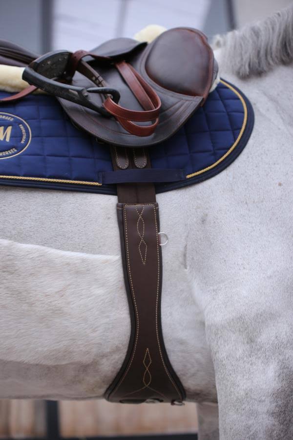 Anatomical Saddle Girth T672