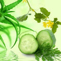 Aloe Vera & Cucumber Fragrance Oil A278