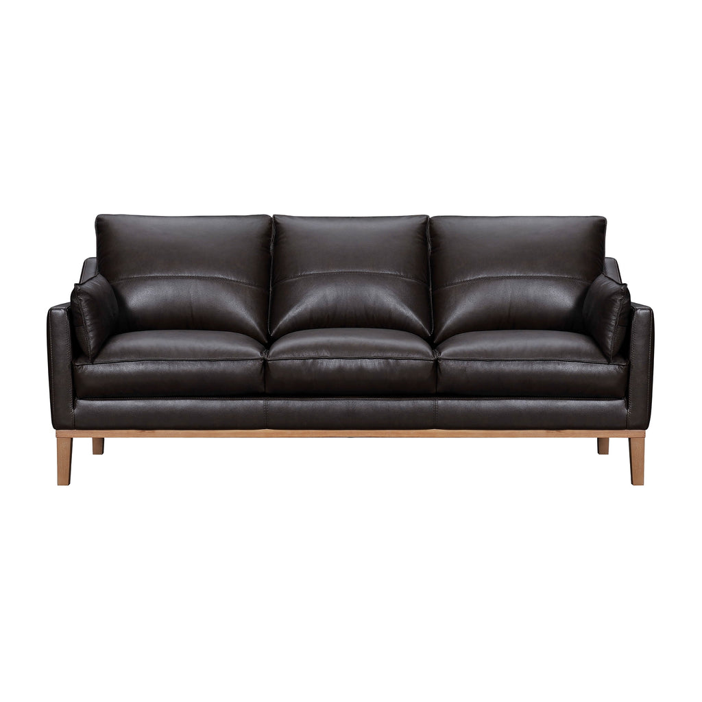 Dark Brown Leather Sofa Y169769