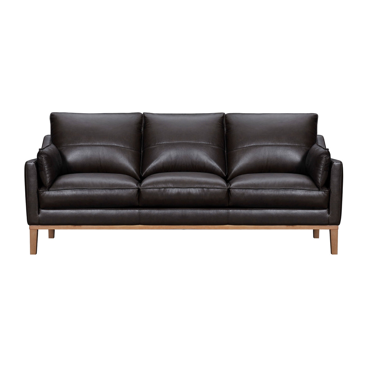 Dark Brown Leather Sofa Y169769
