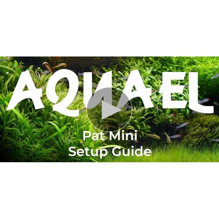 Mini Pat Internal Filter X2256