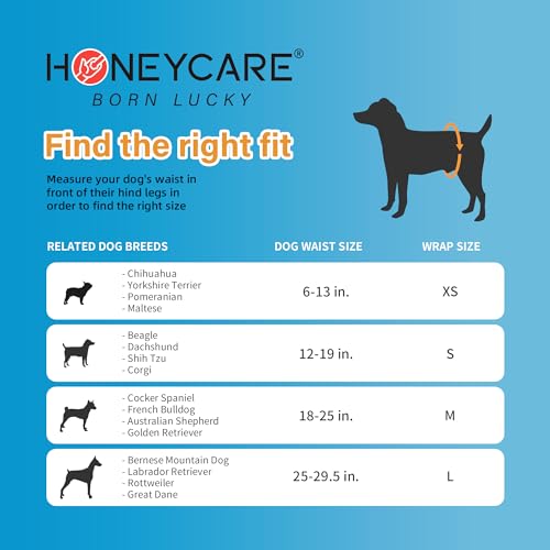 Male Dog Wrap, 50 Count, Small F680