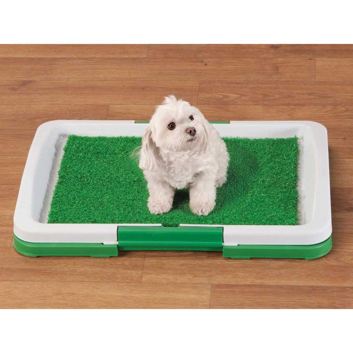 Dog Potty Patch Q6301