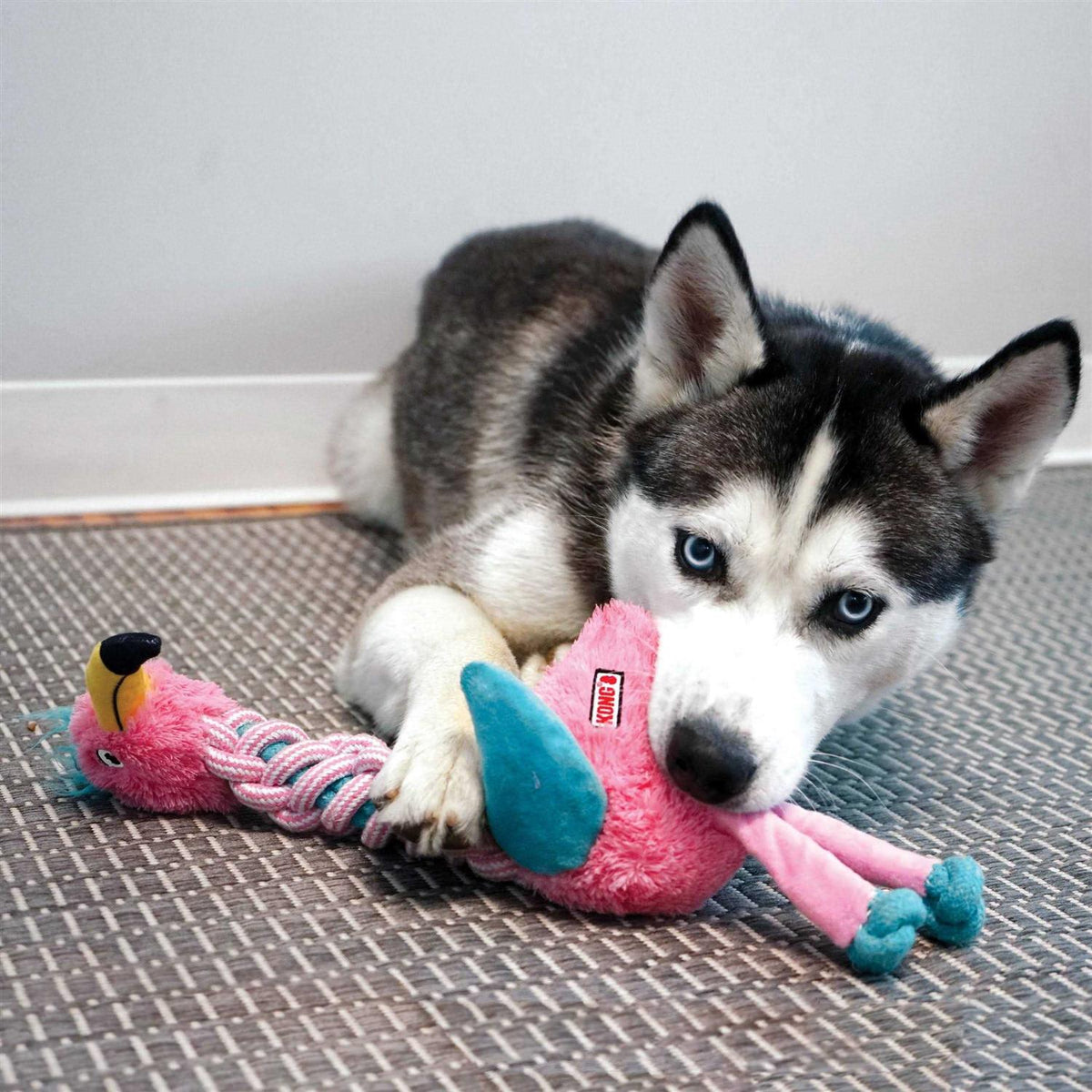 Dog Toy J33907
