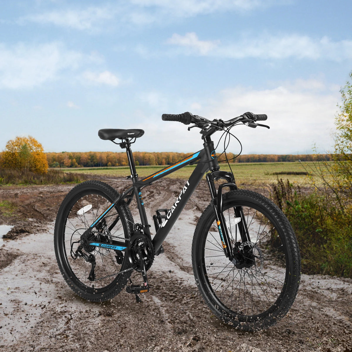 26 inch Mountain Bike with 21 Speed & Disc Brakes D898
