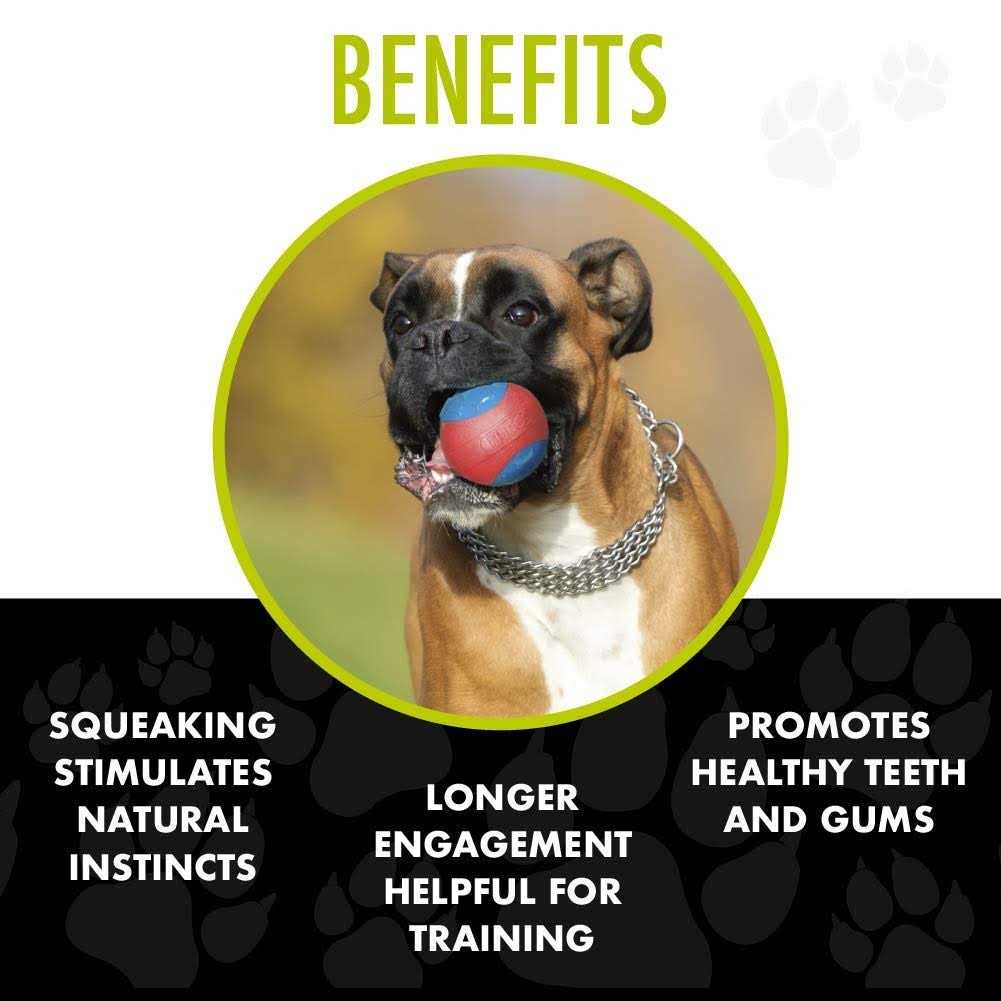 Armor Ball Dog Toy D536656