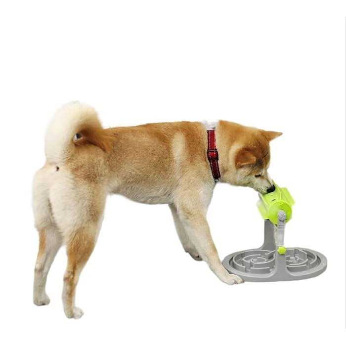 Adjustable Height Slow Feeder Game K665