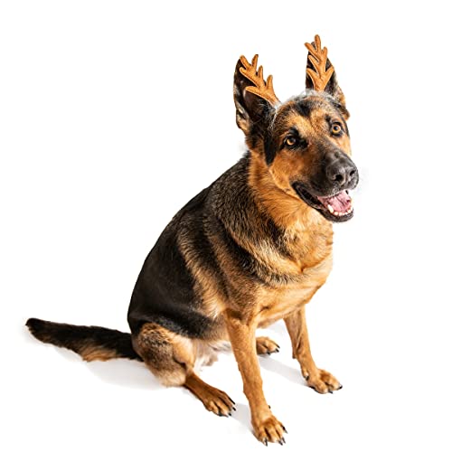 Dog Headband F130