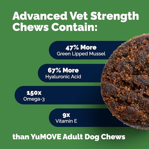 Glucosamine Hip & Joint Supplement for Dogs Y57500