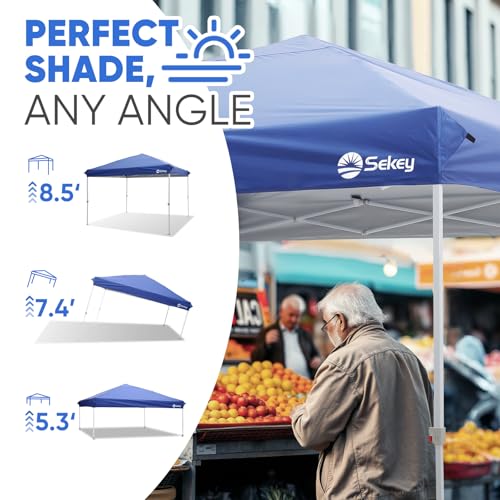 10x10 Pop Up Canopy with Weight Bags M687399