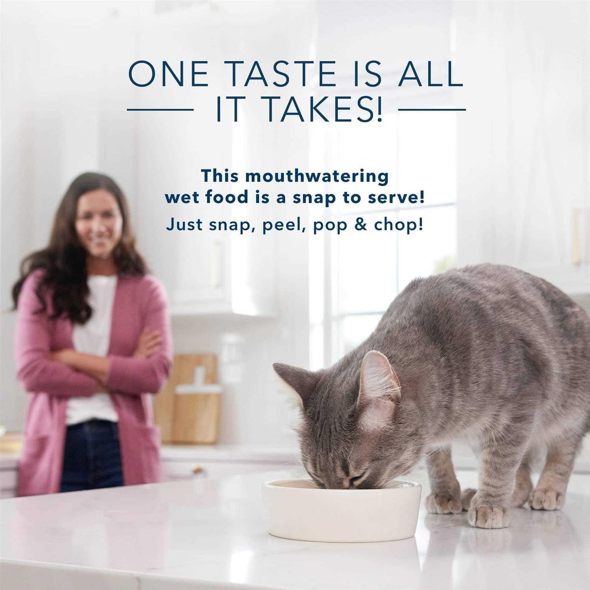 Adult Pate Wet Cat Food Z2906