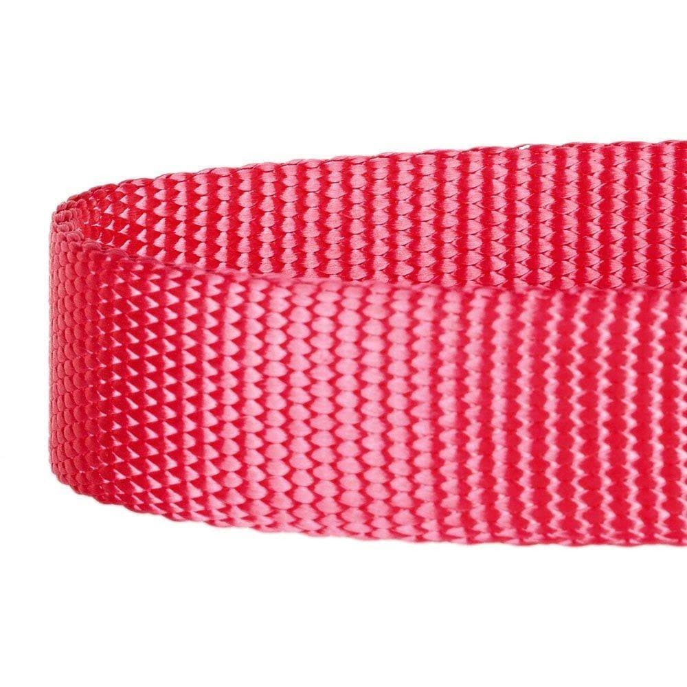 Red Dog Leash C78019