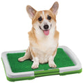 Dog Potty Patch Q6301