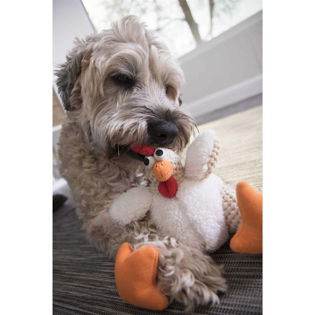 Dog Toy Q53288