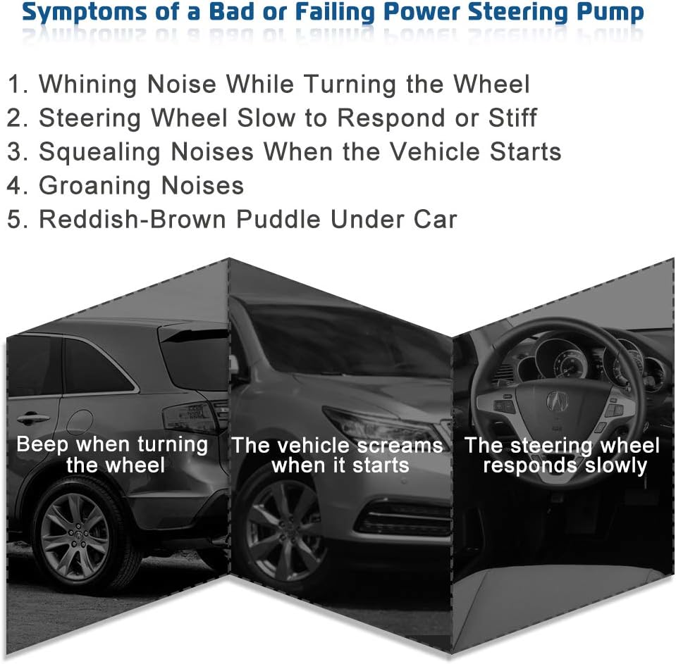 Power Steering Pump S3116