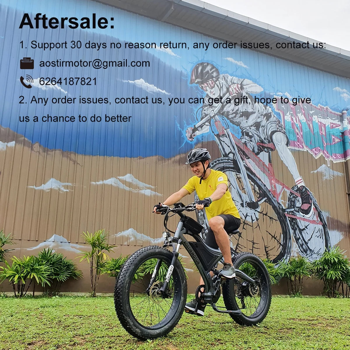 750W 48V 15Ah Fat Tire Electric Mountain Bike Y428