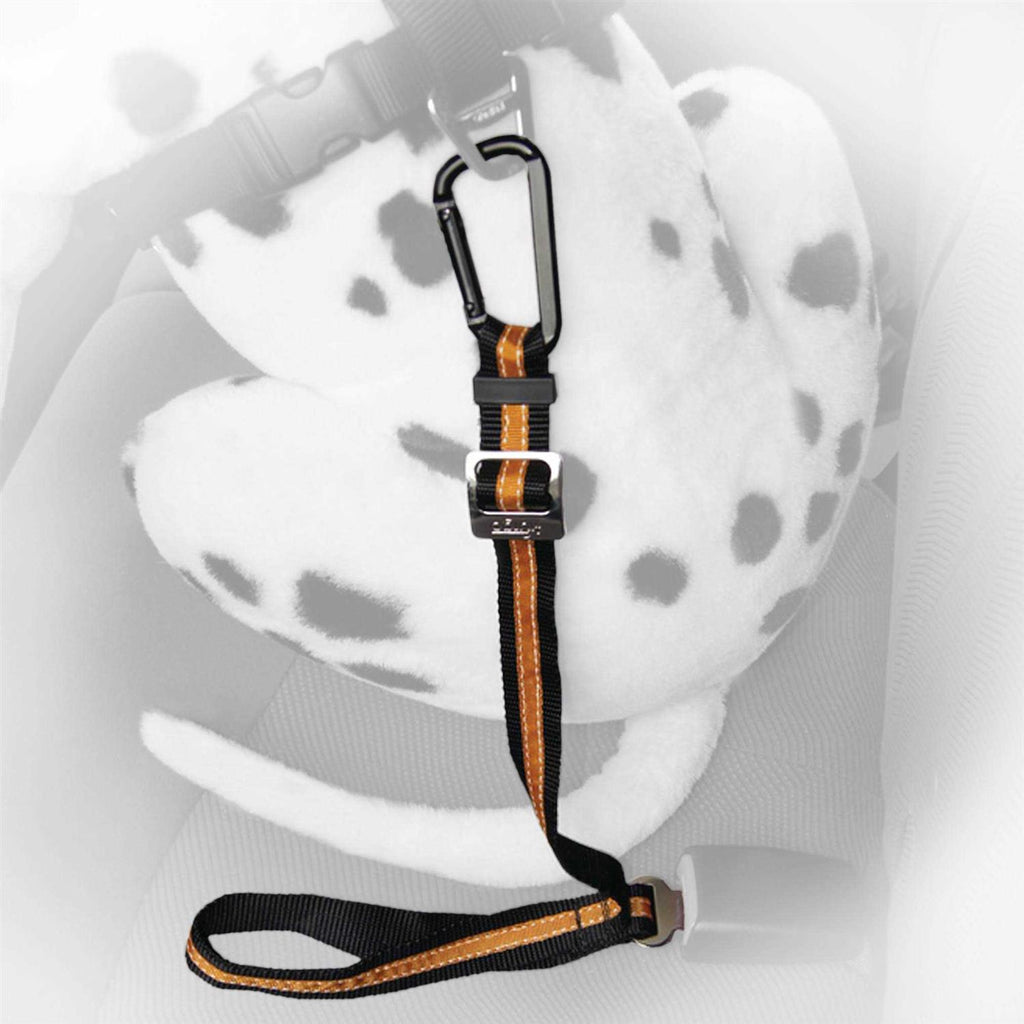 Pet Tether N387