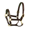 Green Leather Padded Halter I500