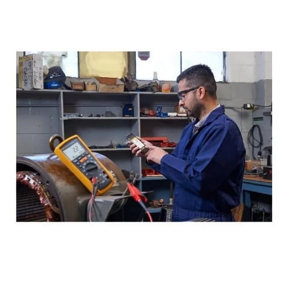 2-in-1 Insulation Multimeter with Clamp F904