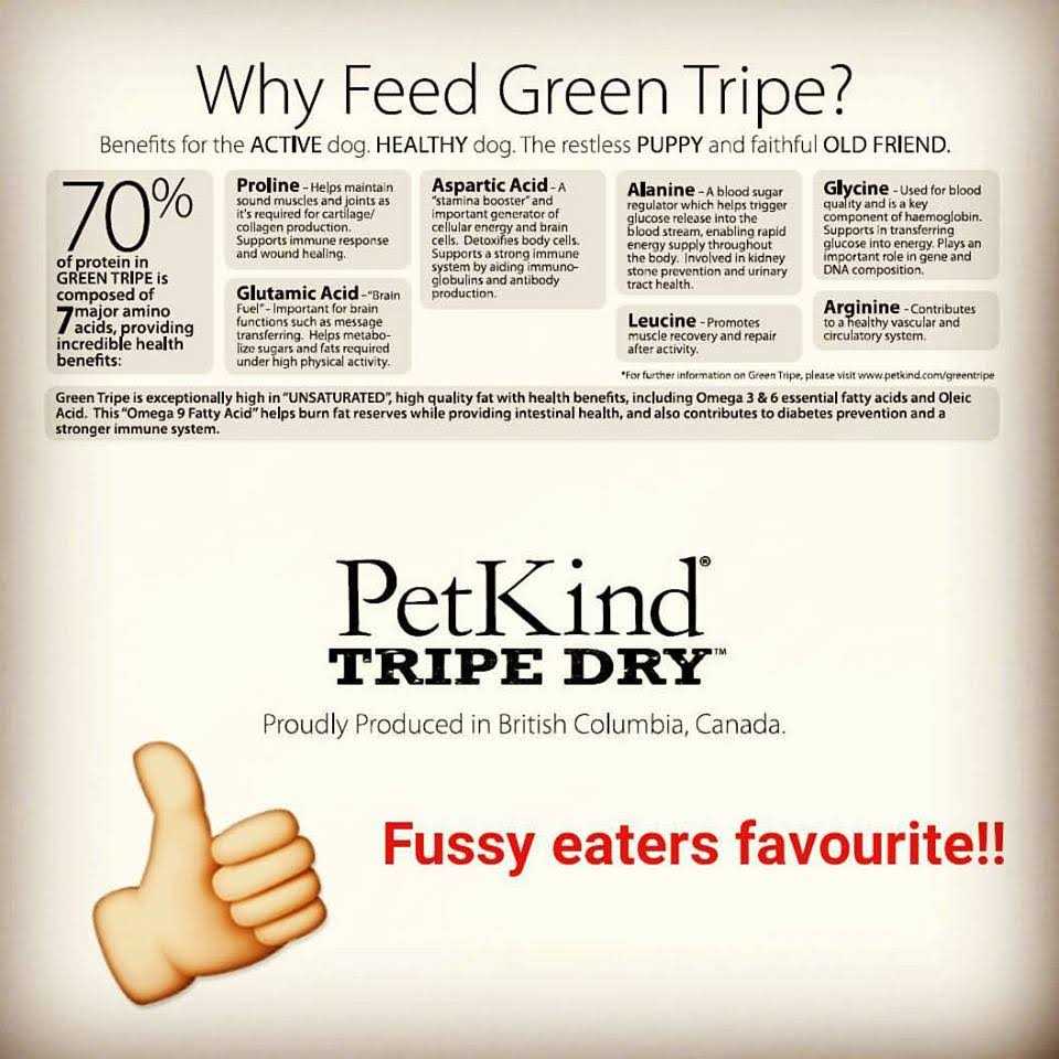 Grain-Free Venison Tripe Dry Dog Food O77300