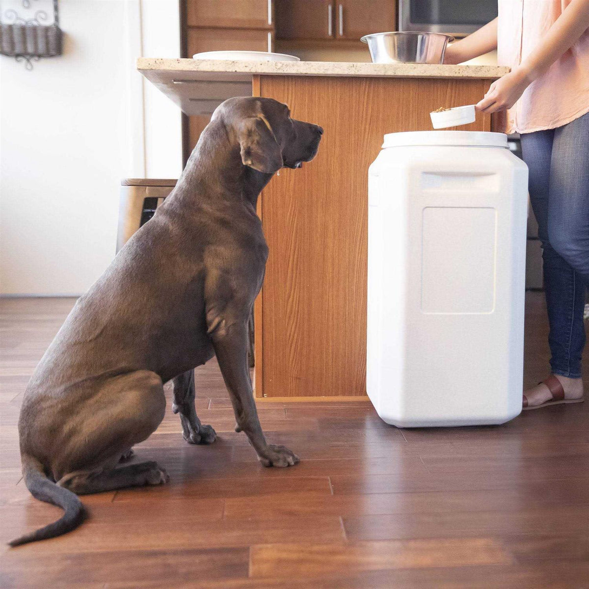Pet Food Container T454
