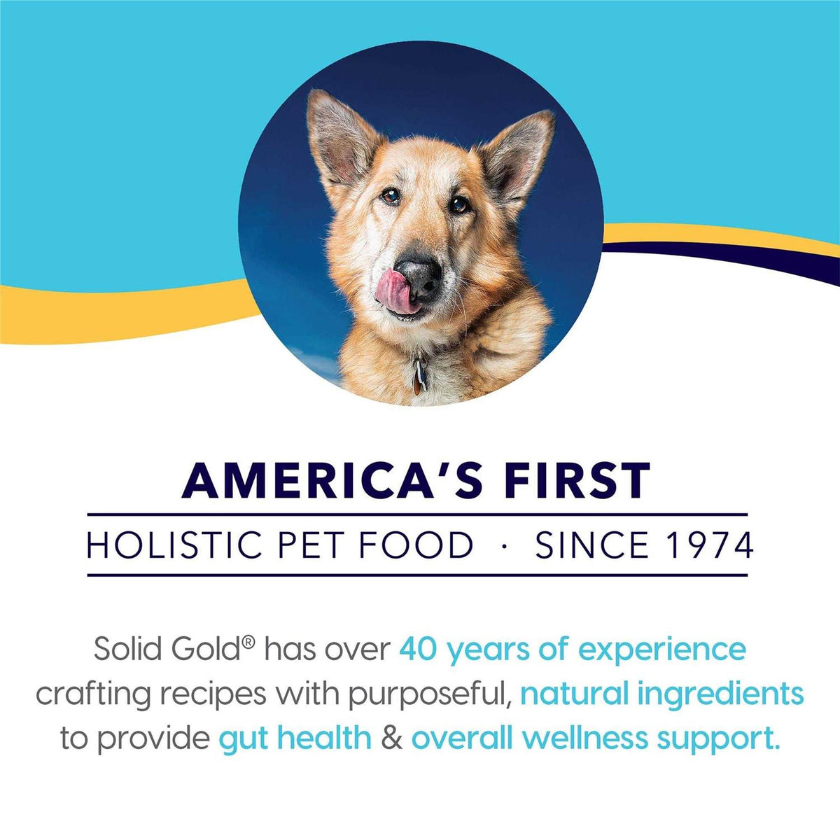 Grain Free Dog Food Topper K380696