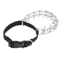Buckle Prong Training Dog Collar M11432
