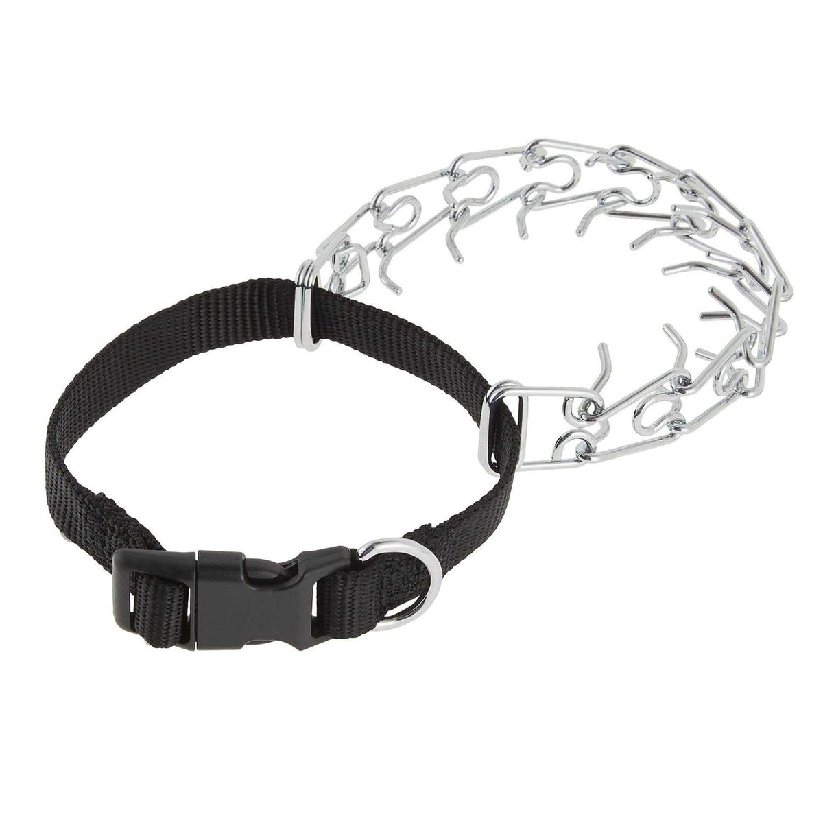Buckle Prong Training Dog Collar M11432