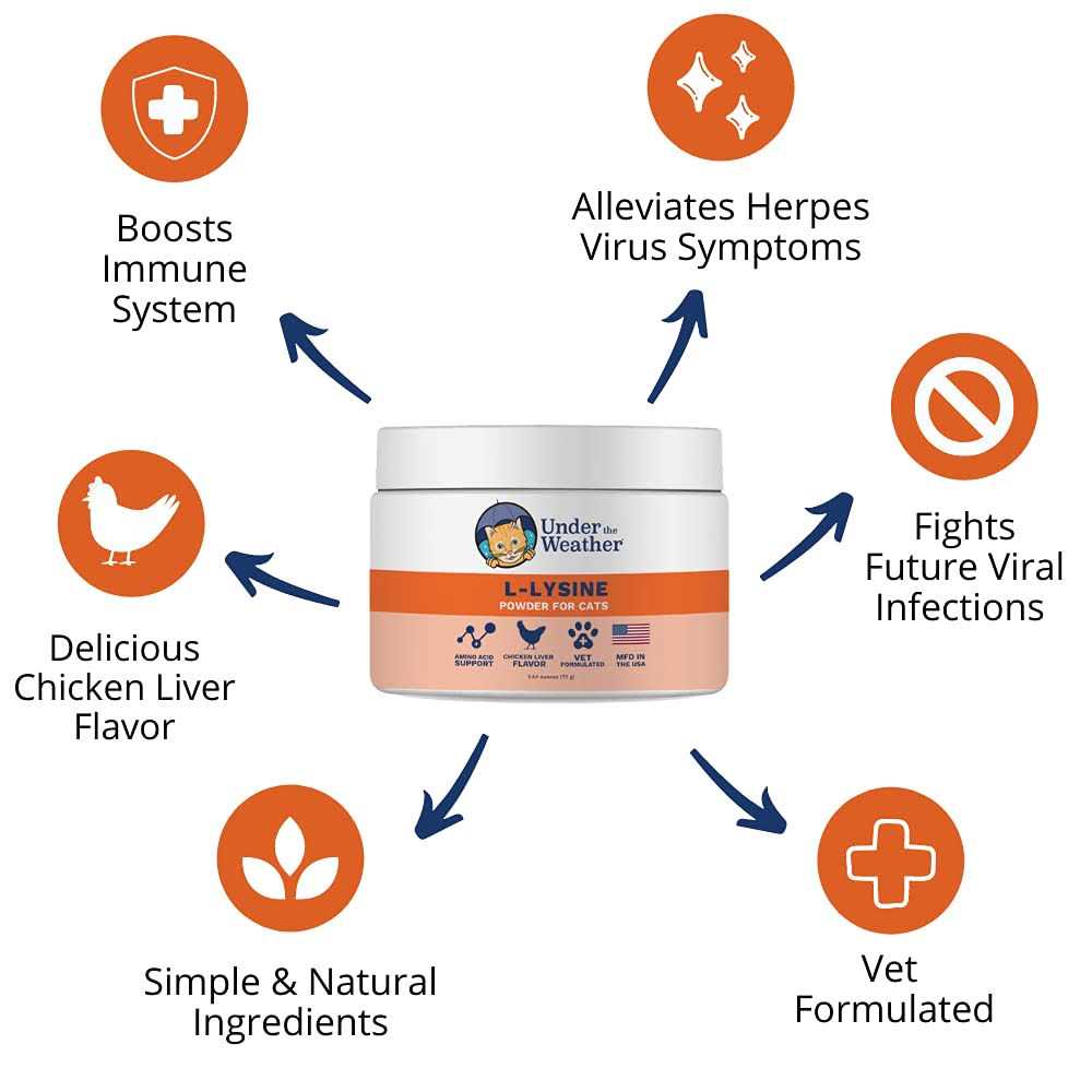L Lysine Soft Chews Cat Supplement H2604