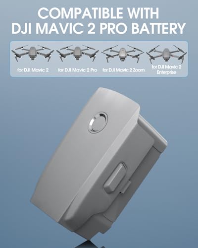 3850mAh 15.4V Intelligent Flight Battery 2-Pack Q1926