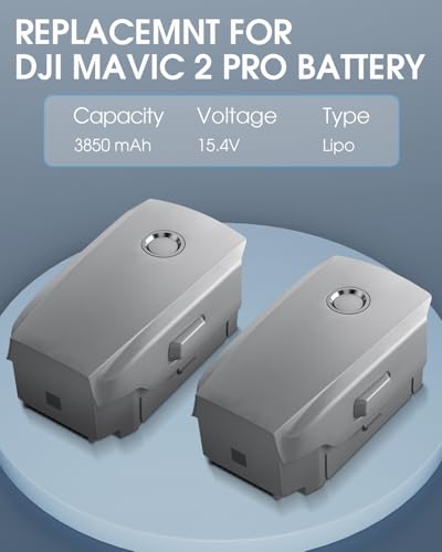 3850mAh 15.4V Intelligent Flight Battery 2-Pack Q1926