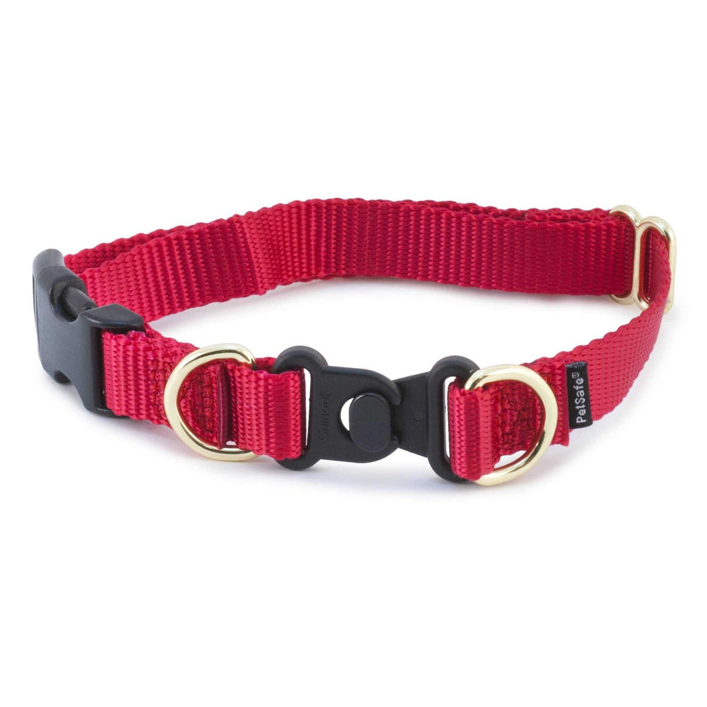 Break-Away Dog Collar R3746