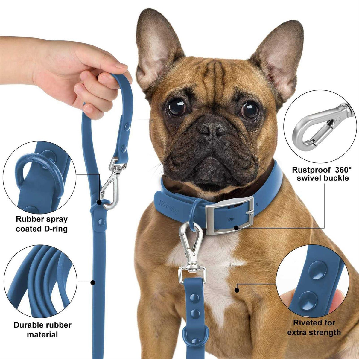 Waterproof Dog Leash with 2 Hooks D785