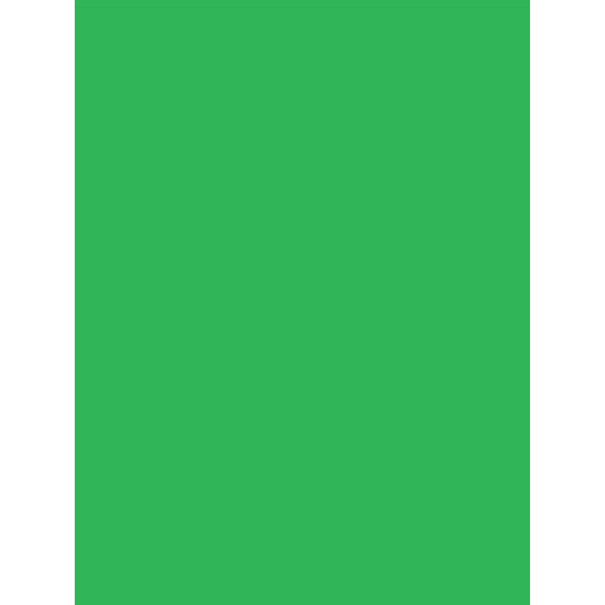 10x20ft Green Background P41228
